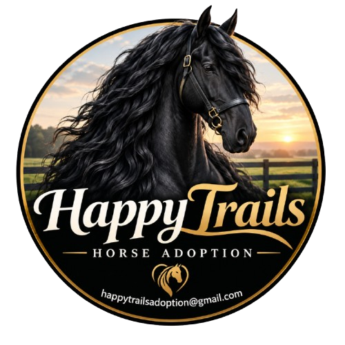 Adopt a Friesian love , rescue & rehome.