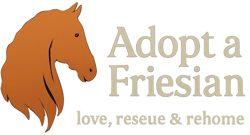 Adopt a Friesian love , rescue & rehome.